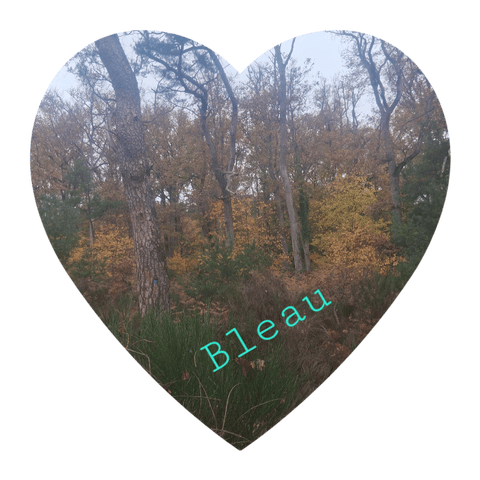 We à Bleau... a pied, à velo