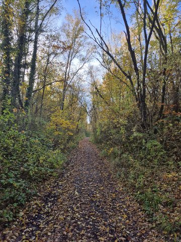 L'été indien en Belgique