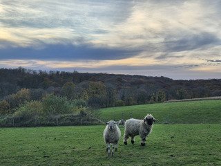 L'été indien en Belgique
