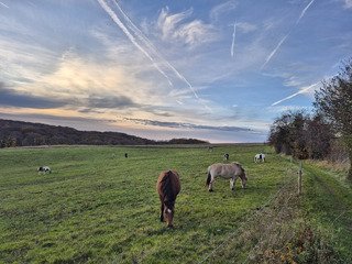L'été indien en Belgique
