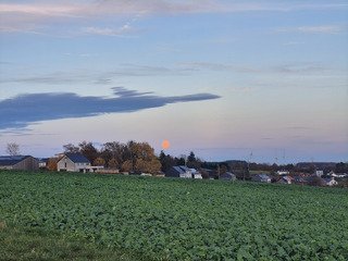 L'été indien en Belgique