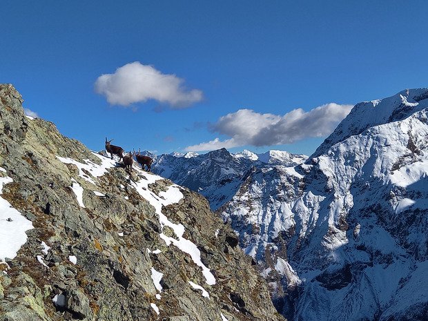 Le col de Font froide 