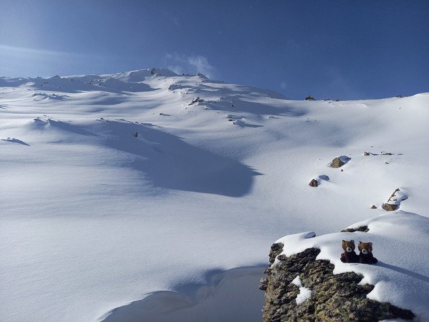 ❄ L'hiver arrive !! ❄