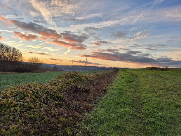Belgique. C'est le printemps! Il n'y a plus de saison...