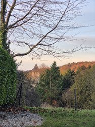 Belgique. C'est le printemps! Il n'y a plus de saison...
