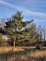 Belgique. C'est le printemps! Il n'y a plus de saison...
