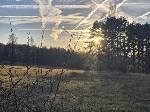 Belgique. C'est le printemps! Il n'y a plus de saison...