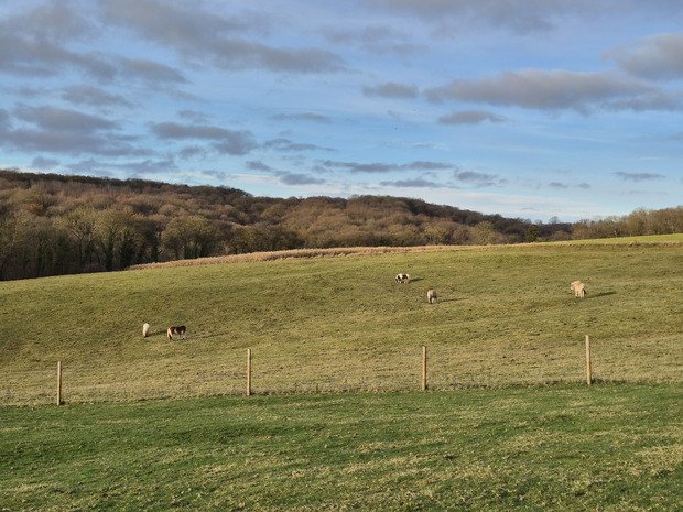 Belgique. C'est le printemps! Il n'y a plus de saison...