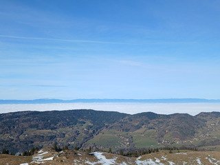 Trail blanc en demi teinte