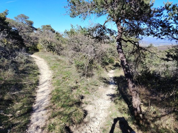 Reprise d'activit&eacute; printani&egrave;re VTT