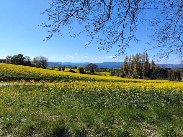 Reprise d'activit&eacute; printani&egrave;re VTT