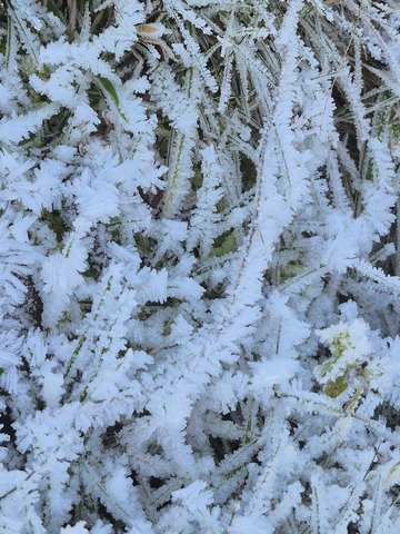 Belgique, Enfin l'hiver!