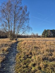Belgique, Enfin l'hiver!