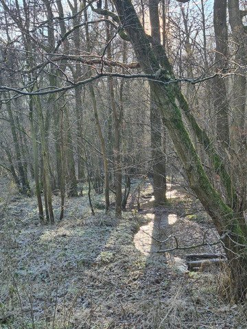 Belgique, Enfin l'hiver!
