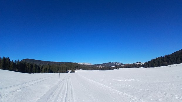 Sunset Boulevard Mec !