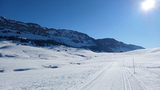 Sunset Boulevard Mec !