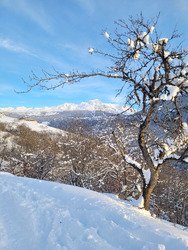 Promenade d&eacute;tente 