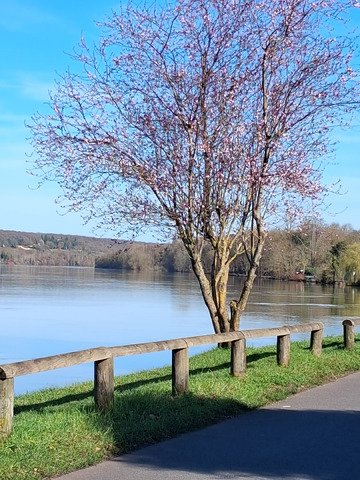 Bord de Seine &agrave; v&eacute;lo...