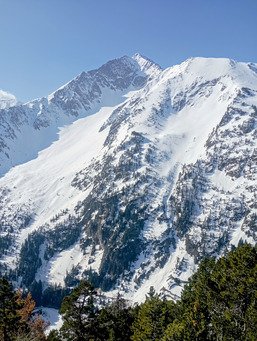 Raid de trois jour dans la r&eacute;serve du n&eacute;ouvielle
