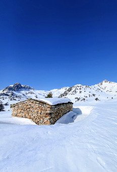 Raid de trois jour dans la r&eacute;serve du n&eacute;ouvielle
