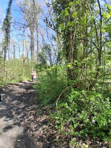 Boucles &agrave; pied, sud Ile de France 