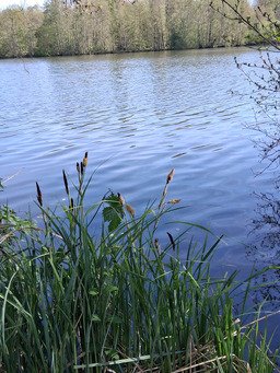 Boucles &agrave; pied, sud Ile de France 