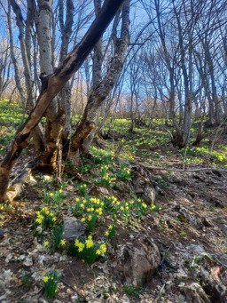 Tour des cr&ecirc;tes d'Aspres les Corps