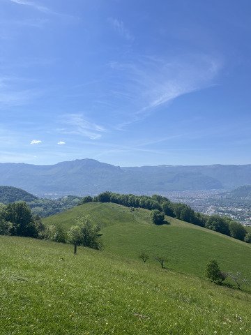Un peu de soleil, un vieux ch&ecirc;ne, et la paix ✌🏻 