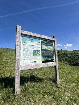 Un peu de soleil, un vieux ch&ecirc;ne, et la paix ✌🏻 