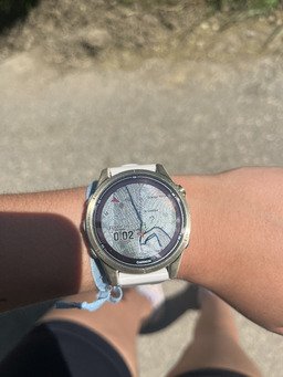 Un peu de soleil, un vieux ch&ecirc;ne, et la paix ✌🏻 