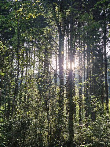 Lever de soleil en Bavi&egrave;re 