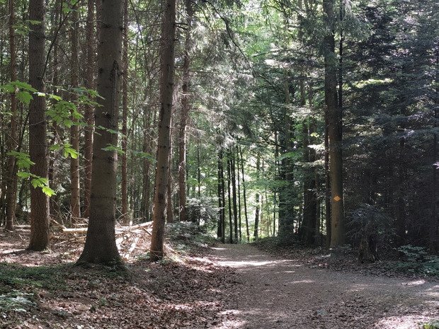 3 p'tites collines &agrave; VTT