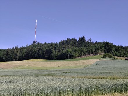 3 p'tites collines &agrave; VTT