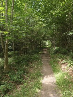 3 p'tites collines &agrave; VTT