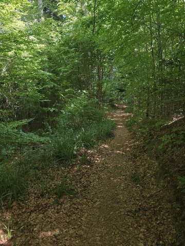 3 p'tites collines &agrave; VTT