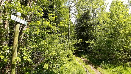 Belledonne, c'est parfait !