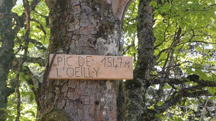 Petits d&eacute;tours et... oh suprise 🐍