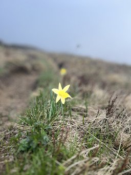 Le calme apr&egrave;s la pluie