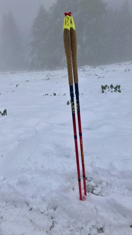 Charteuse sous la neige
