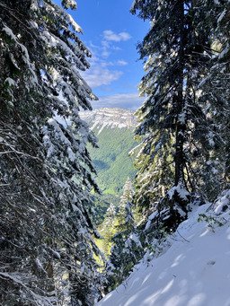 Charteuse sous la neige