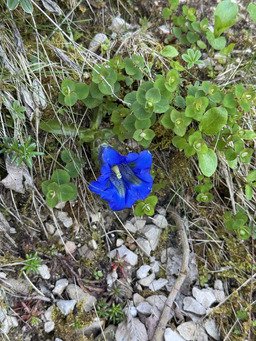 Un peu de fraicheur au cirque de st m&ecirc;me