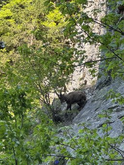 Un peu de fraicheur au cirque de st m&ecirc;me
