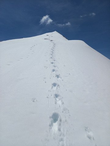Enfin la belle saison !