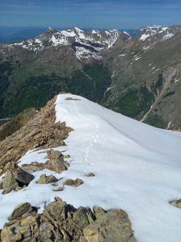 Enfin la belle saison !