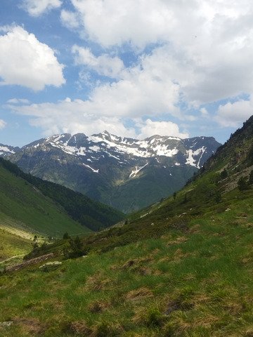 Baroudage dans les paturages entre deux saisons