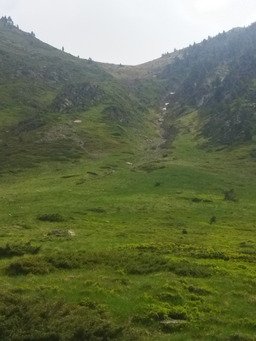 Baroudage dans les paturages entre deux saisons