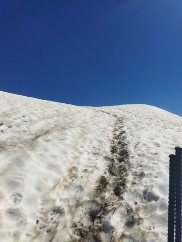 Recherche de fra&icirc;cheur en altitude