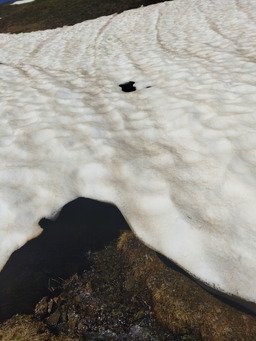 Recherche de fra&icirc;cheur en altitude