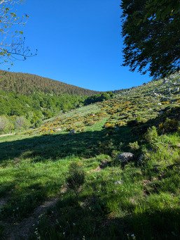 Week end de Pentec&ocirc;te dans les C&eacute;vennes