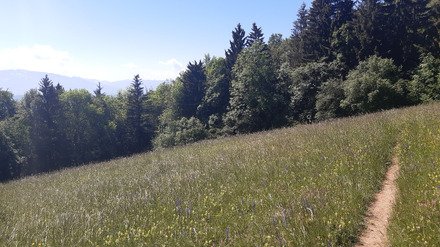 A l'ombre du Sal&egrave;ve 